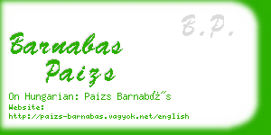 barnabas paizs business card